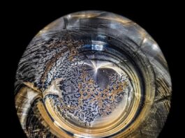 Ekskluzywny wywiad z francuskim artystą Patrickiem Desgraupes, który współpracuje z Moët & Chandon