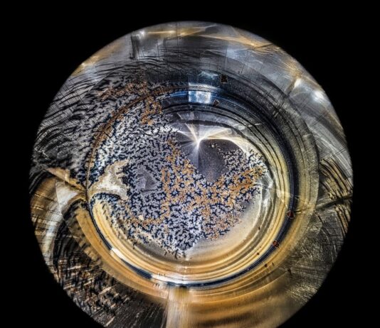 Ekskluzywny wywiad z francuskim artystą Patrickiem Desgraupes, który współpracuje z Moët & Chandon