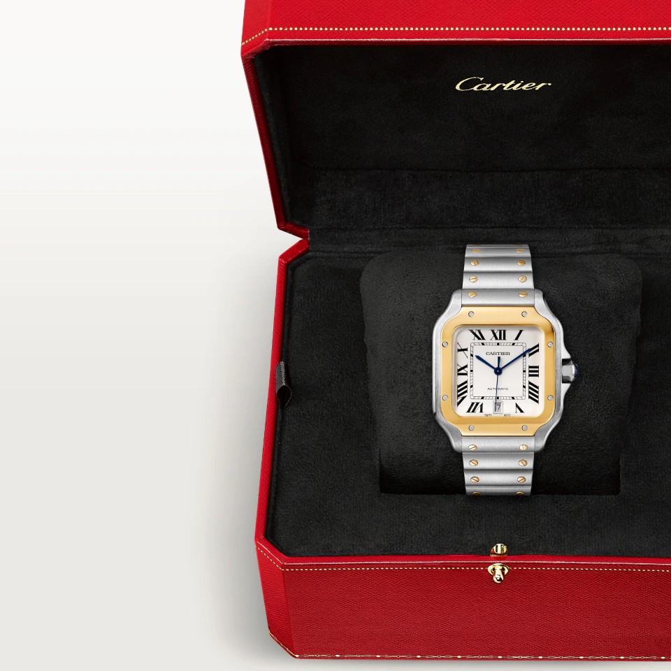 Santos de Cartier Watch